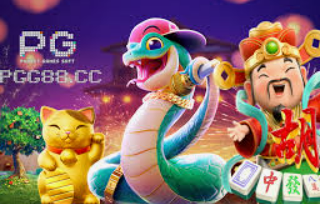 壹号娱乐电脑免费版