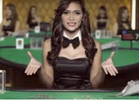 壹号娱乐电脑免费版